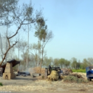 Dieses Bild bietet sich in ländlichen Gegenenden öfters: kleine Guṛ-Produktionsstätten