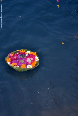 Blumen im Ganges (Ganga)